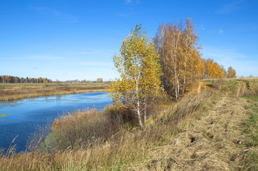 Fototapeta na wymiar Autumn landscape with river on a Sunny day