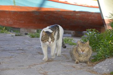 Greek fisherman boat closup at Lesvos