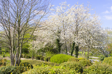 Obraz premium Spring in Milton Keynes, England