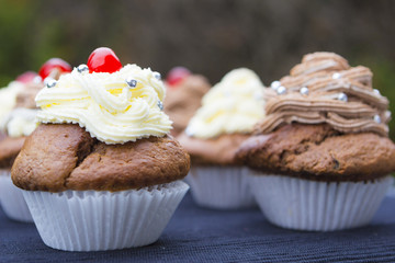 Delicious cupcake with whipped cream