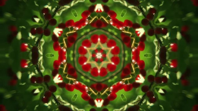 Amazing abstract kaleidoscopic colored blinking pattern with six structure. Excellent animated natural background for design in full HD. Adorable floral visuals for wonderful decorative intro