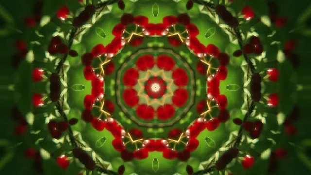 Amazing abstract kaleidoscopic colored blinking pattern with eight structure. Excellent animated natural background in full HD. Adorable floral visuals for wonderful decorative intro. 
