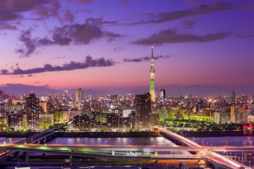 Tokyo Japan Skyline