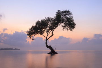 Alone Tree and the Sunrise , Seascape , Chumphon , Thailand