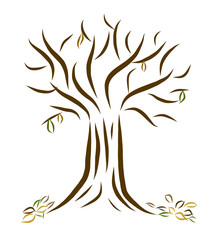 Illustration of an autumnal tree