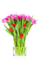 Spring tulips in the vase on white background