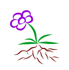 Illustration of a flower