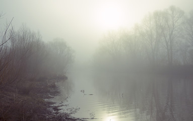 Obraz na płótnie Canvas Misty landscape