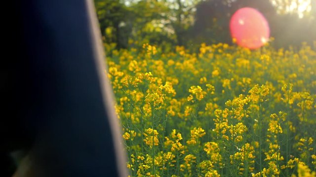 slow motion di businessman in prato fiorito al tramonto con flare