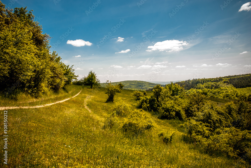 Wall mural countryside