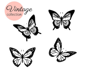 Fototapeta na wymiar Set of four black and white butterflies silhouette with open wings isolated.