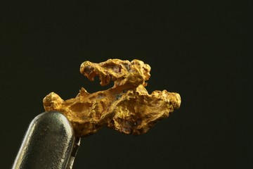 Nugget of gold.  