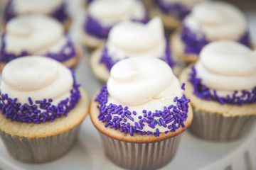 Freshly Baked Cupcakes With Purple Sprinkles