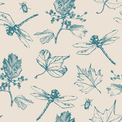 Hand-drawn seamless pattern with dragonfly, beetle and plants. Vector elements.