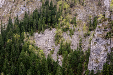 Fototapeta na wymiar Stone avalanche. High mountain side with trees and rock.
