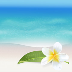 Realistic Sea Background. Tropical Flower. Beach Background. Vector Pattern