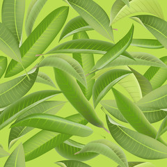 Tropical Leaves Background. Vintage Seamless Pattern. Vector Background