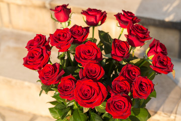bouquet of blossoming dark red roses