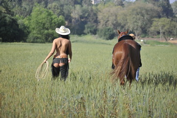 Naklejka premium The rear view of topless cowgirl and his horse walking on the grass