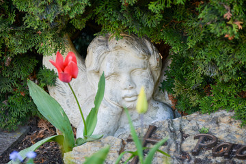 Engel im Strauch