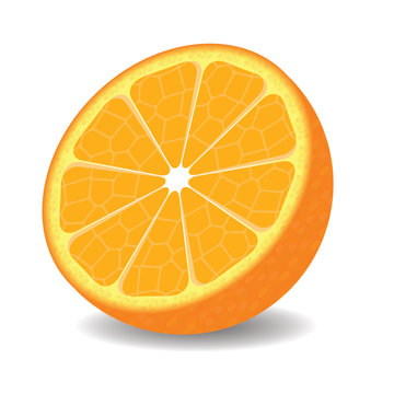 Half of orange on white background