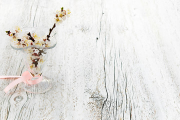 blossoming apricot branches in a vase of glass.  Light toned pho