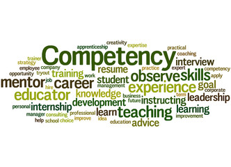 Competency, word cloud concept 2