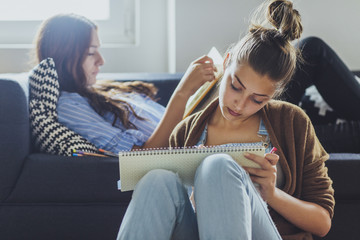 Caucasian women studying in living room