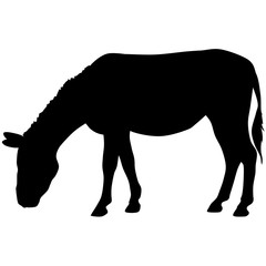 silhouette of a donkey. black vector illustration. esp10