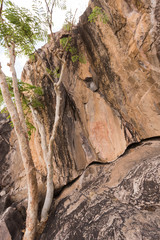 Bushman rock paintings