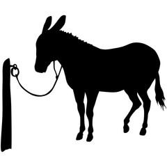 silhouette of a donkey. black vector illustration. esp10