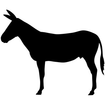 silhouette of a donkey. black vector illustration. esp10