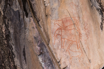 Bushman rock paintings