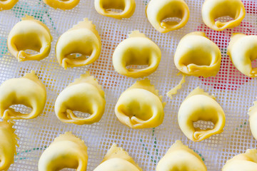 Tortelloni Bolognesi
