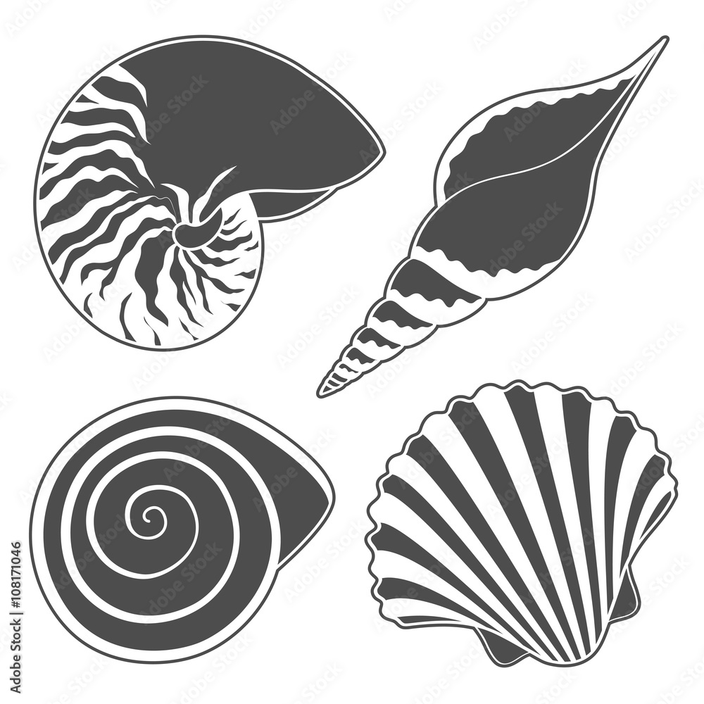 Poster set of graphic sea shells. isolated objects. vector illustration.
