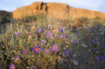 Chaco Culture National Historical Park in New Mexico