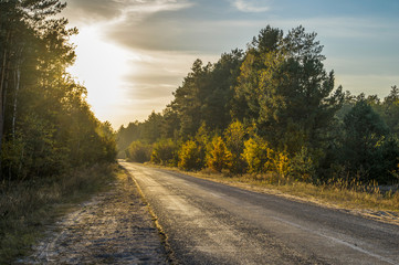Fototapeta premium sunset over the road