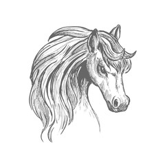 Head of a horse with wavy mane sketch symbol