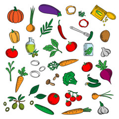 Fresh and pickled vegetables with herbs sketch