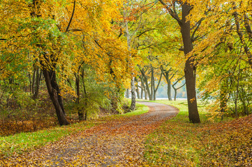 Spaziergang im Herbst, buntes Herbstlaub auf gewundenem Weg, farbenfrohe Herbstlandschaft,...
