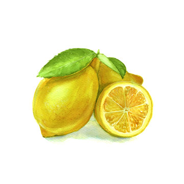 three lemons with leaves. isolated. Watercolor