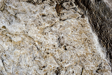 fossil ocean  sea Guadalupe Mountains National Park Texas higest