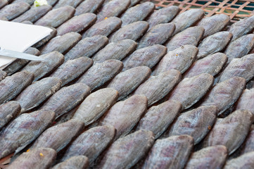 Dried gourami fishes for sale in the market