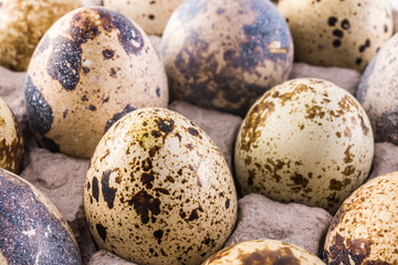 quail eggs