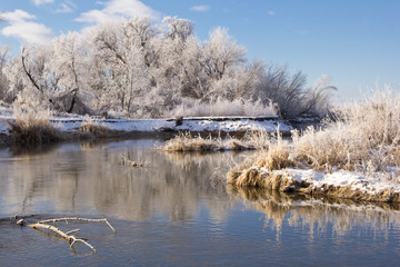 Naklejka na ściany i meble A winter landscape of heavy frost covering trees and plants along a snow covered river bank