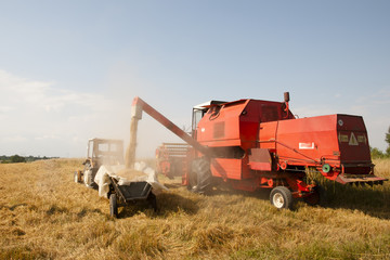 Combine Harvester - Poland