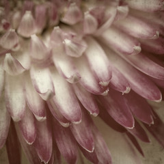 textured old paper background