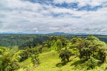 Mountain pasture land and mountain rainforest, Ecuador west of the Andes