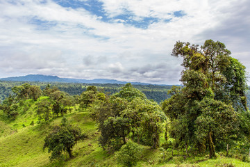 Mountain pasture land and mountain rainforest, Ecuador west of the Andes