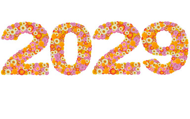New year 2029 made from straw flowers isolated on white backgrou